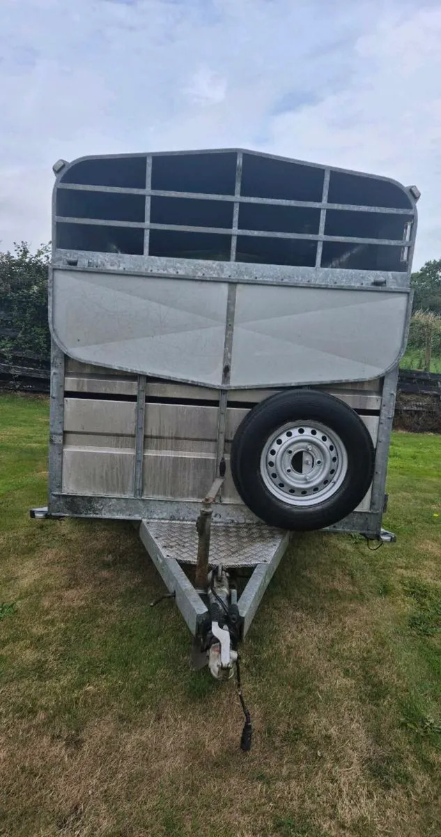 Aerlite 14 x 6 cattle/sheep trailer - Image 2