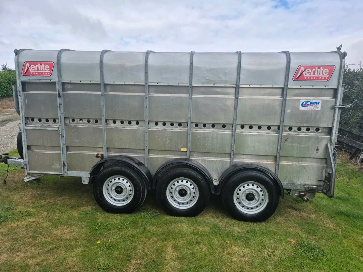 Aerlite 14 x 6 cattle/sheep trailer - Image 4