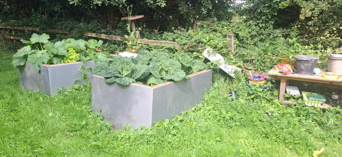 Raised beds - Image 1
