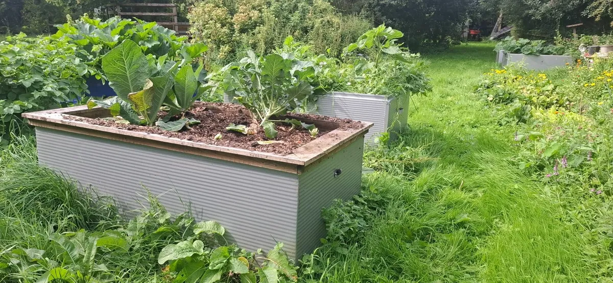 Raised beds - Image 2