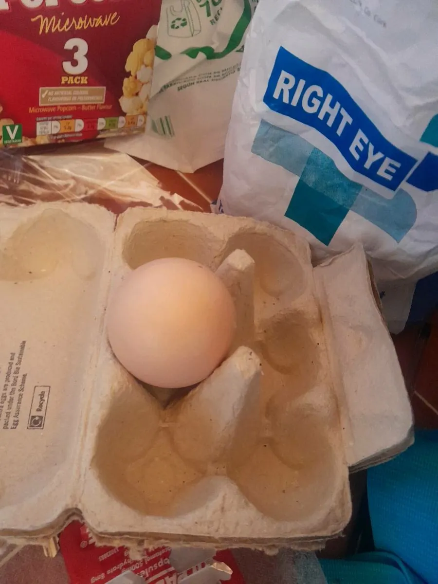 Last 5 peafowl hatching eggs - Image 1