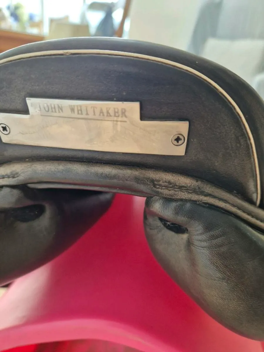 Saddle - Image 2