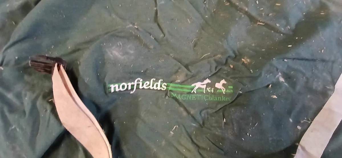 Equestrian equipment job lot - Image 2