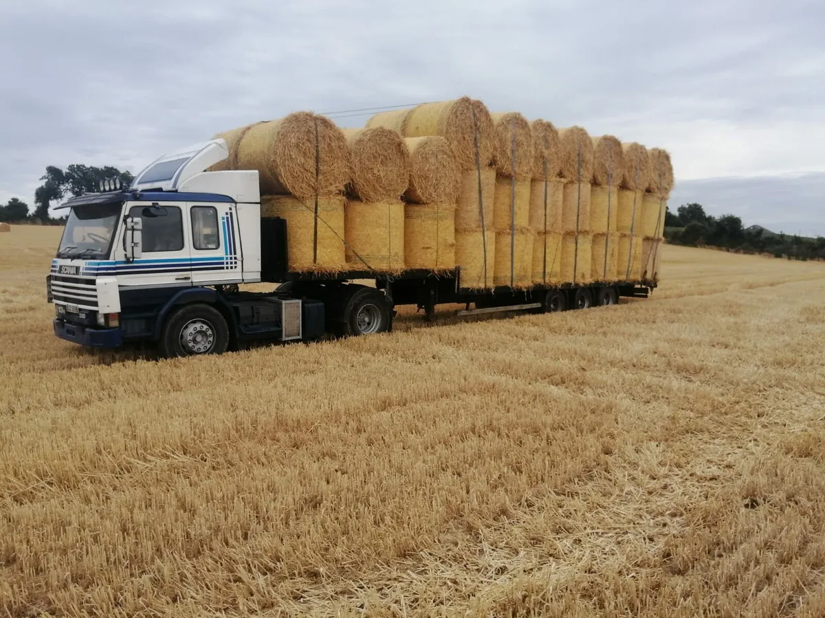 Straw - Image 1