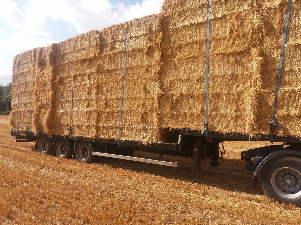 Straw - Image 2