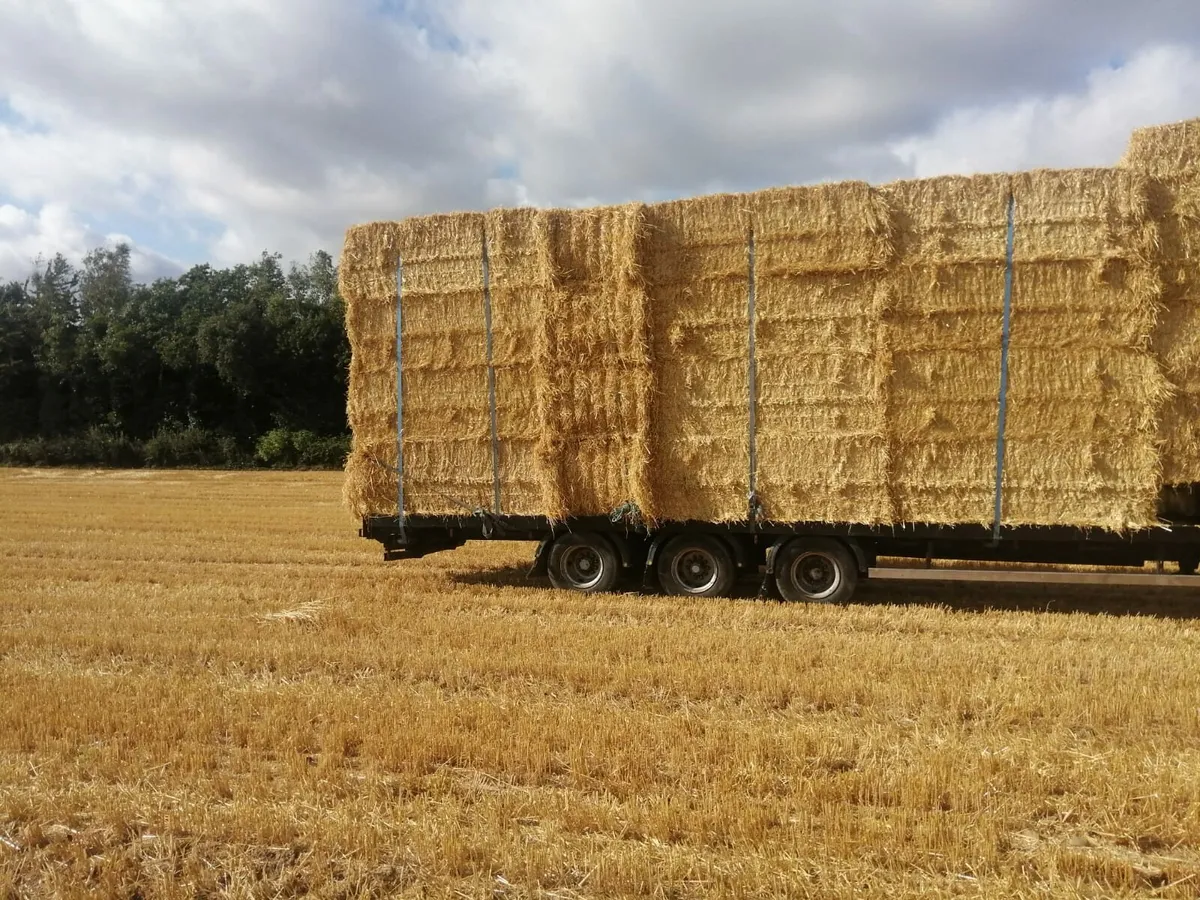 Straw - Image 3
