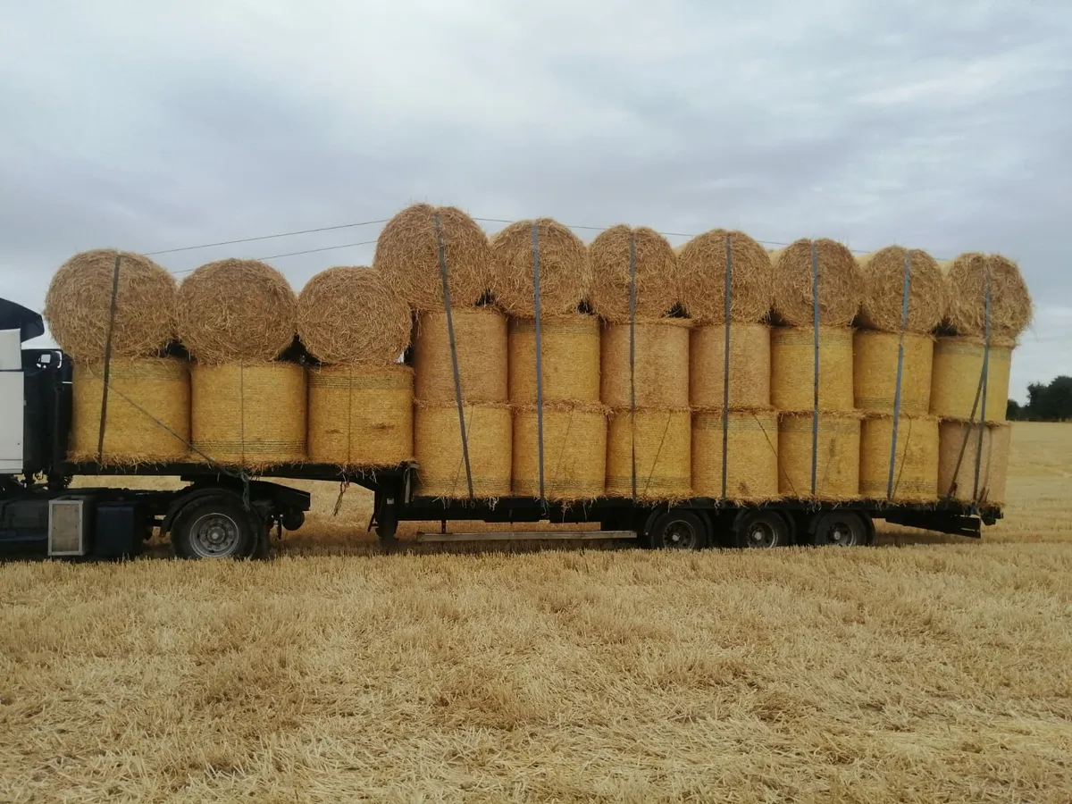Straw - Image 4