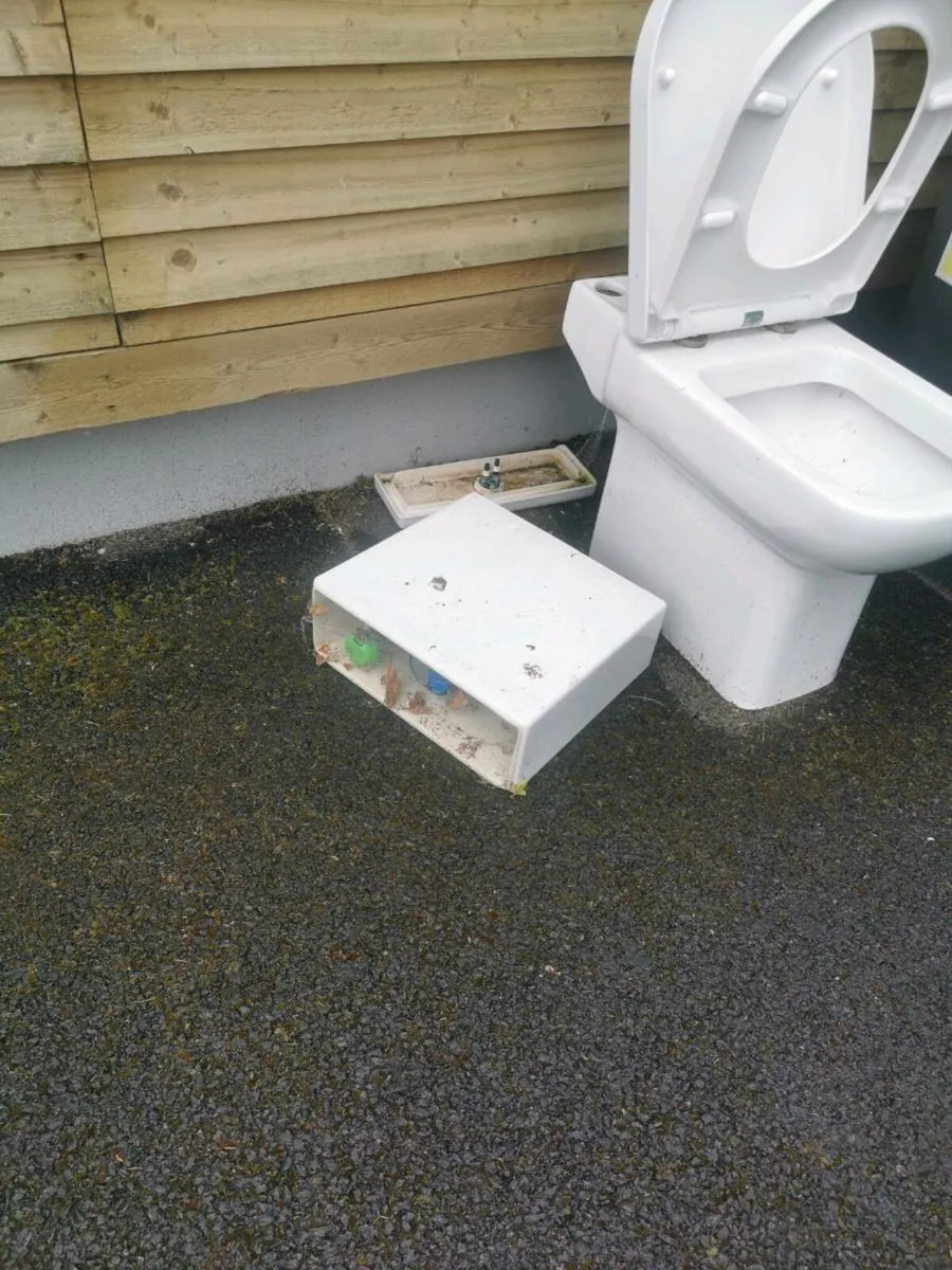 Tiolet seat and shower door - Image 2