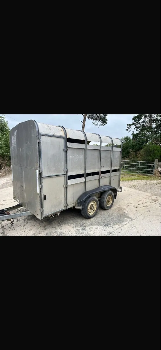 Cattle trailer - Image 3