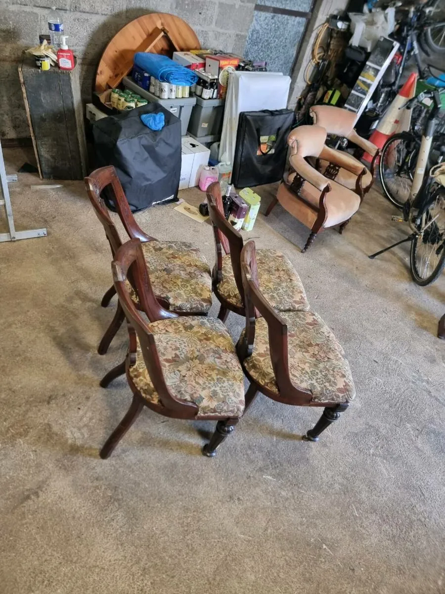 Dining room chairs - Image 1