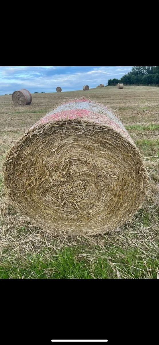 Straw