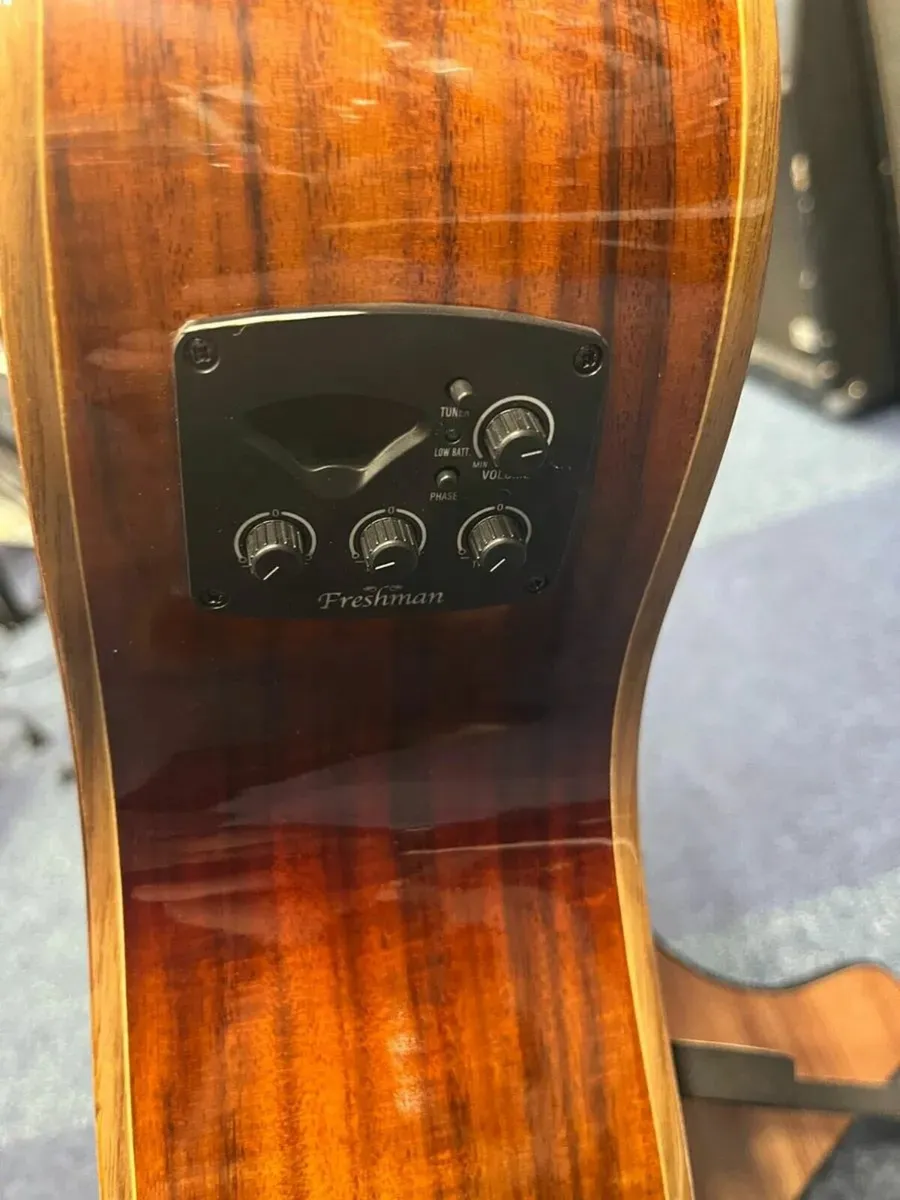 Freshman Electro Acoustic Guitar with Case - Image 4