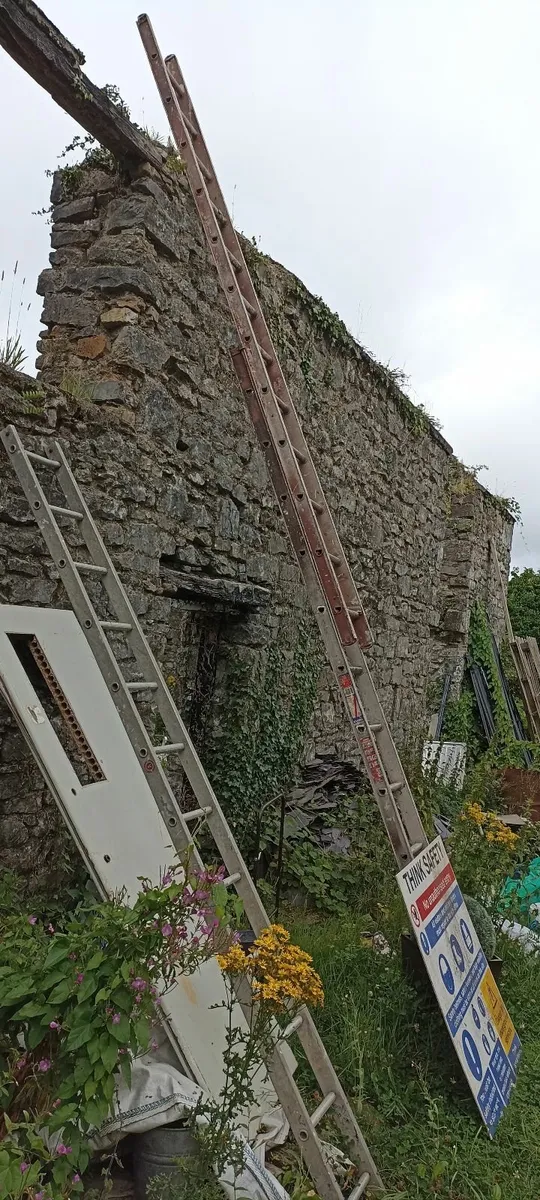 Clima Extension Ladder - Image 1