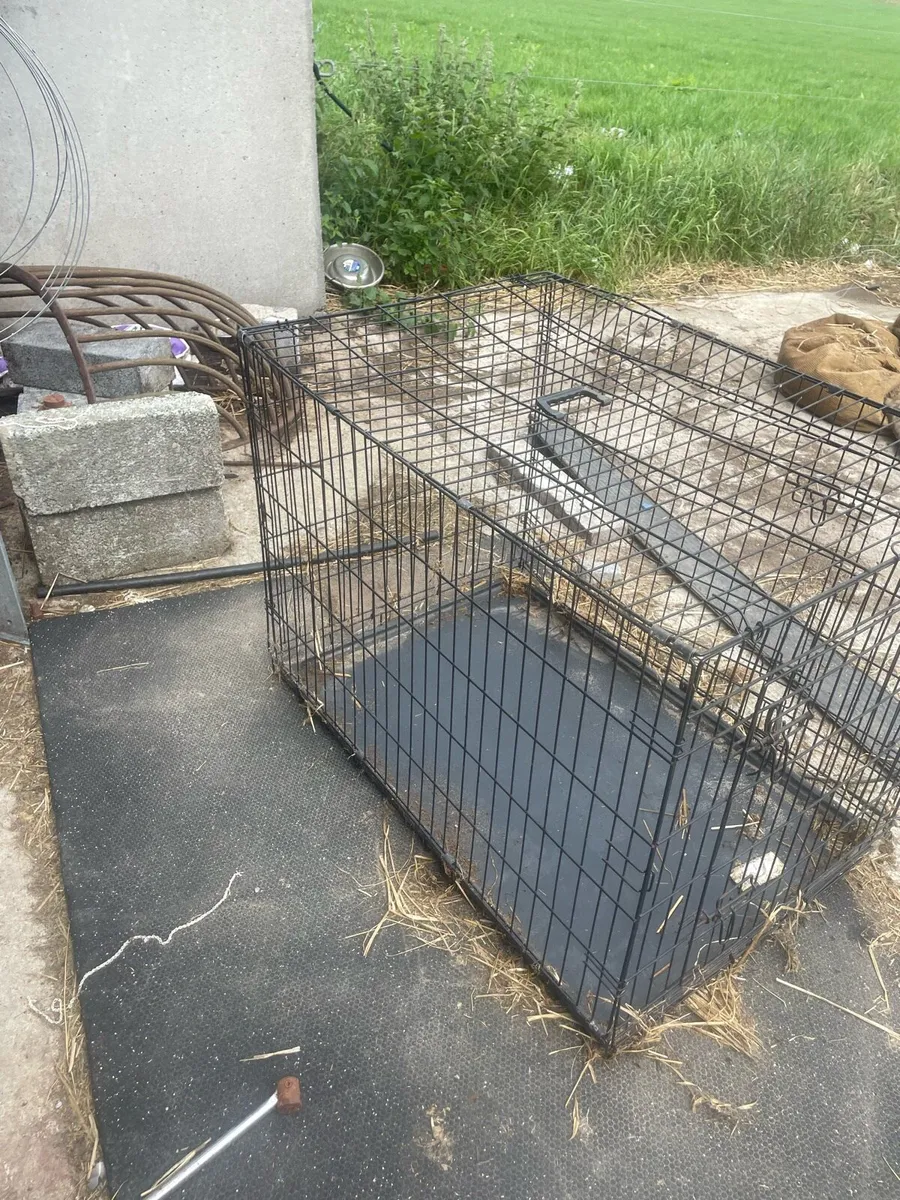 Dog cage - Image 1