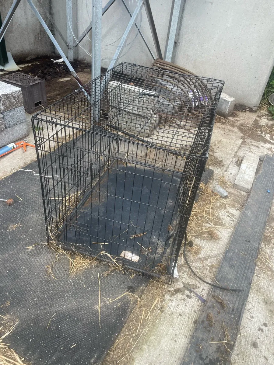 Dog cage - Image 2