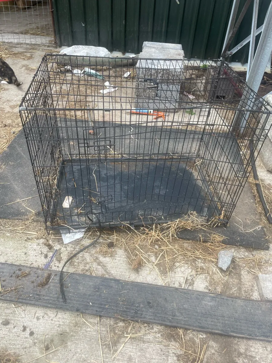 Dog cage - Image 3