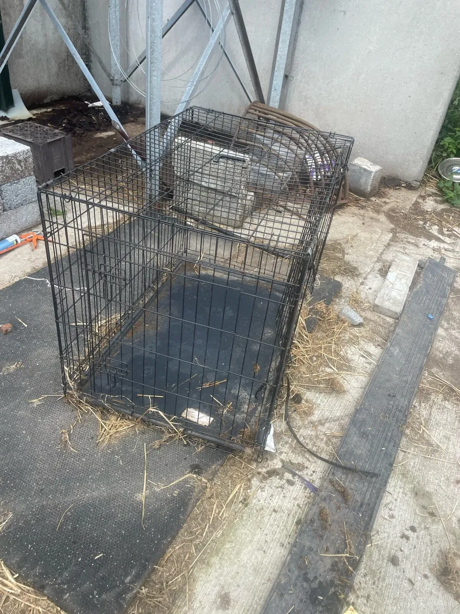 Dog cage - Image 4