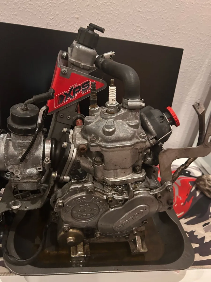 Rotax max pre evo - Image 2