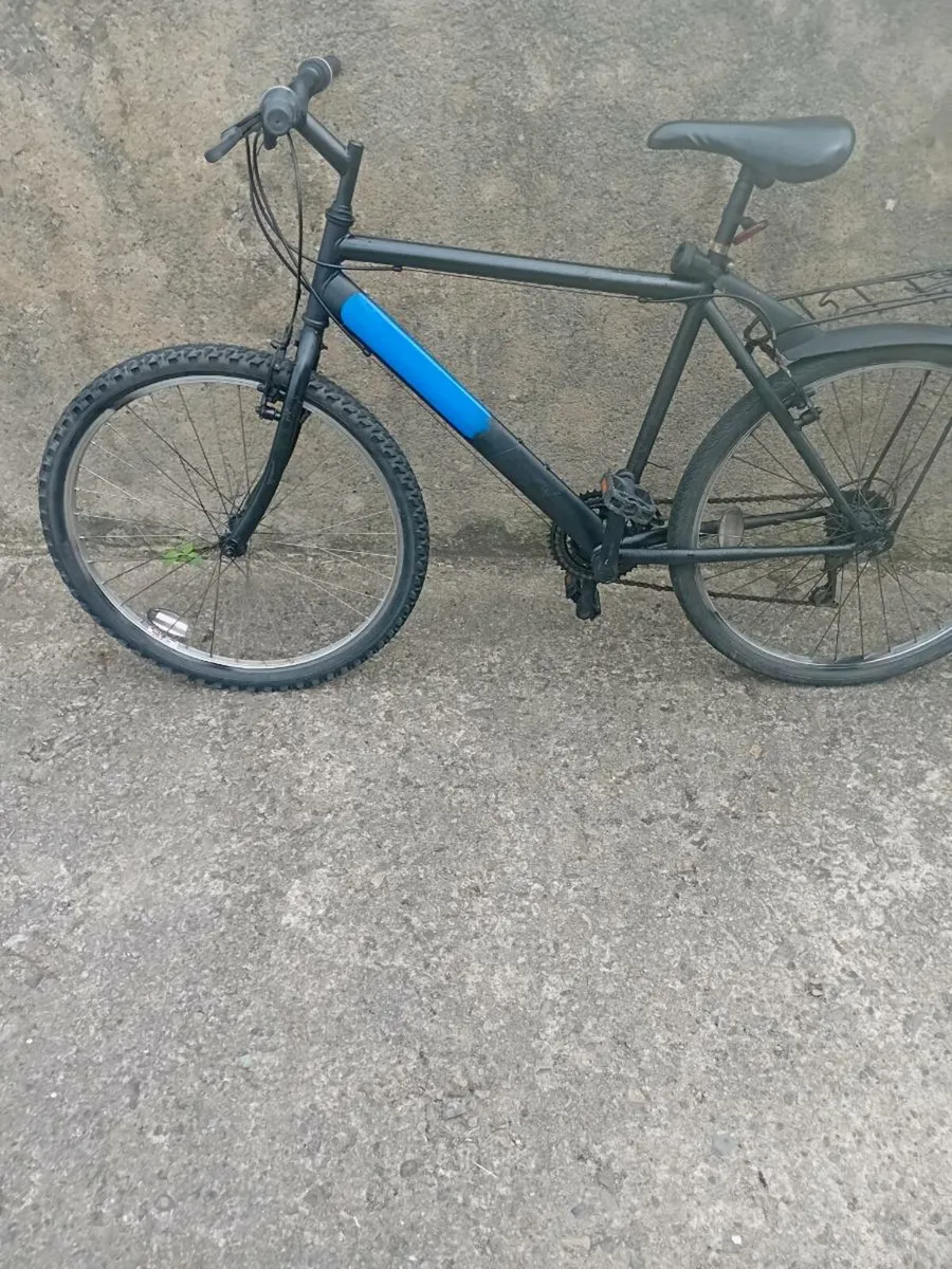 Adults bike - Image 2