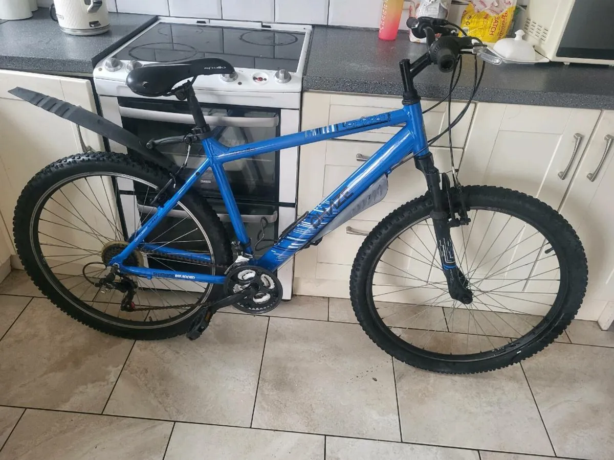 Bike (ON HOLD) - Image 1