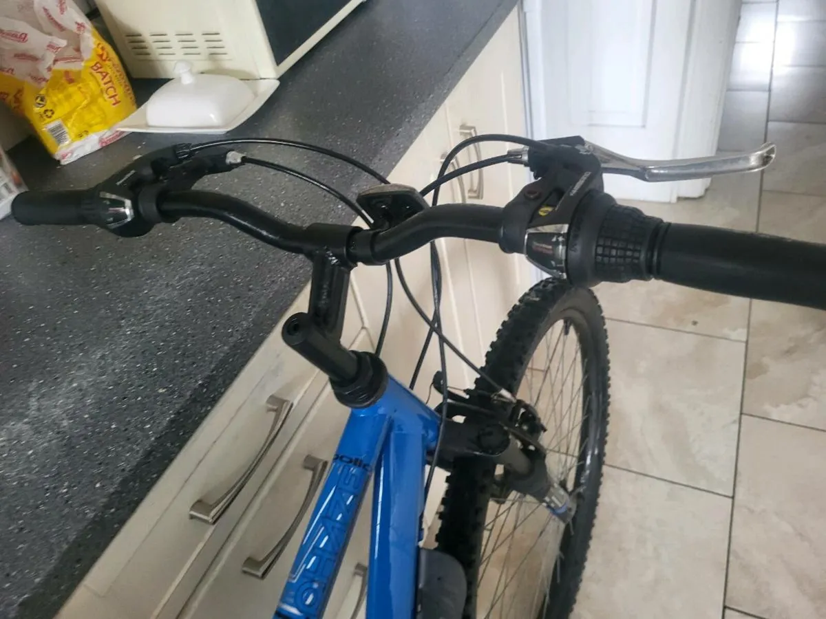 Bike (ON HOLD) - Image 2