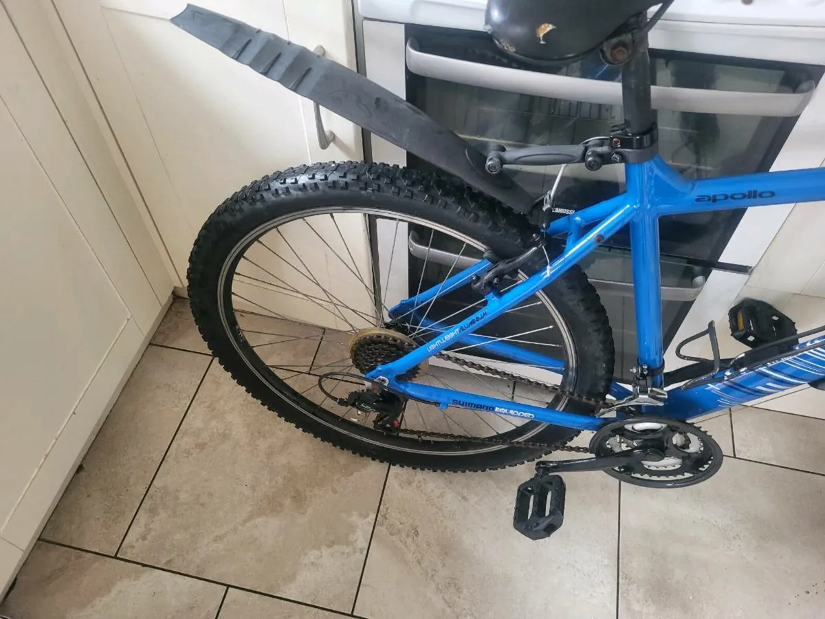 Bike (ON HOLD) - Image 3