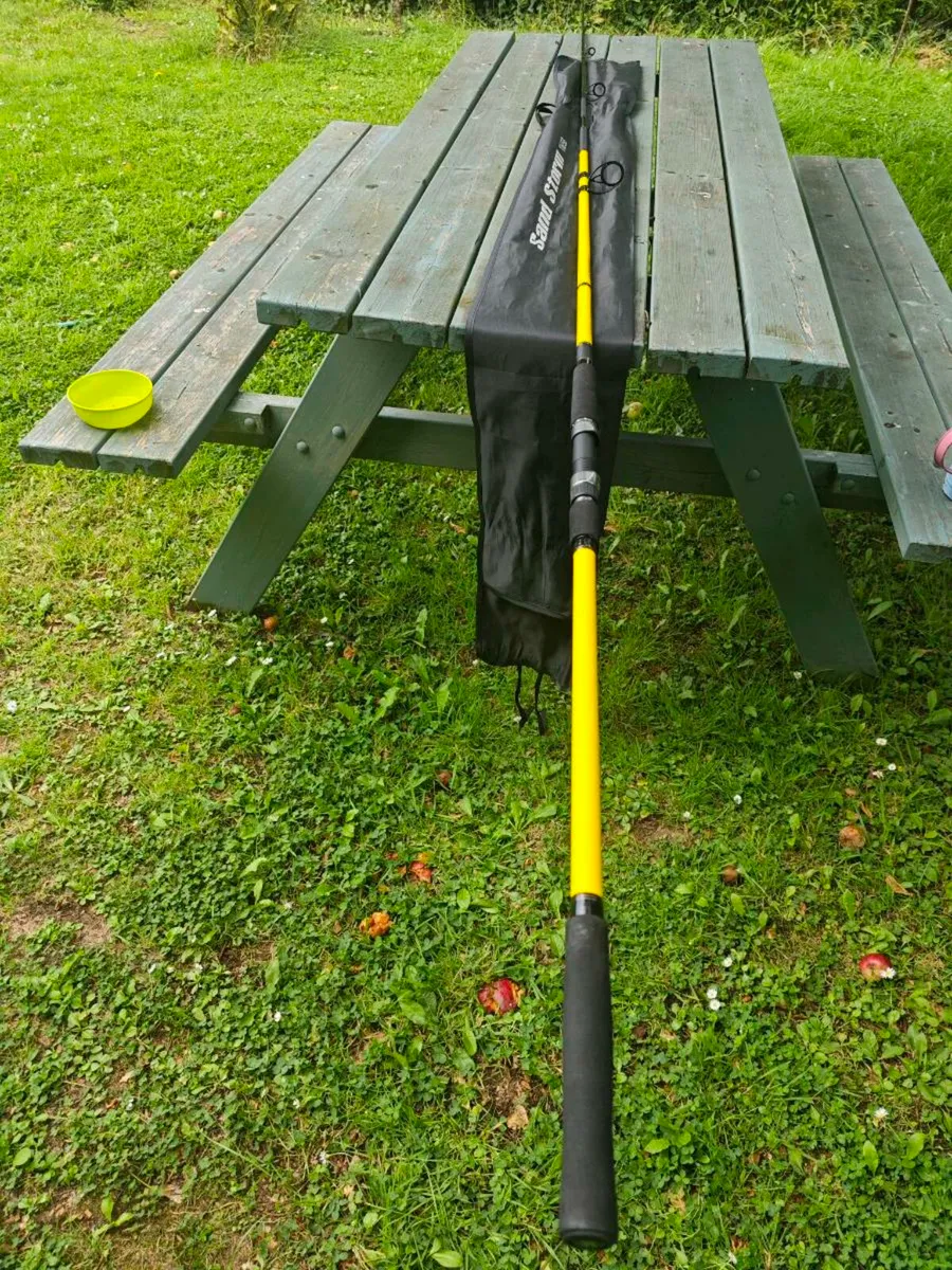 Fishing rod Daiwa Sandstorm Bass 11'6'' - Image 2