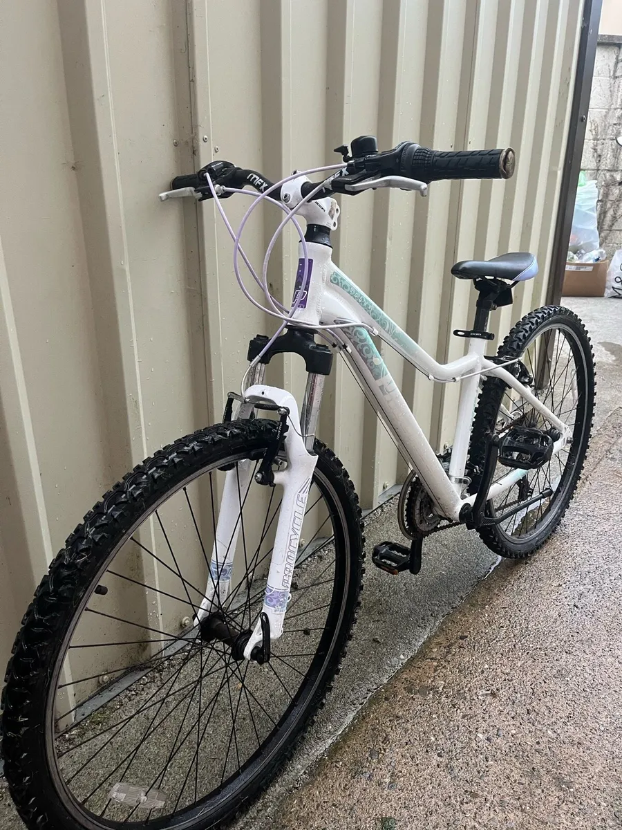 Bike - Image 1