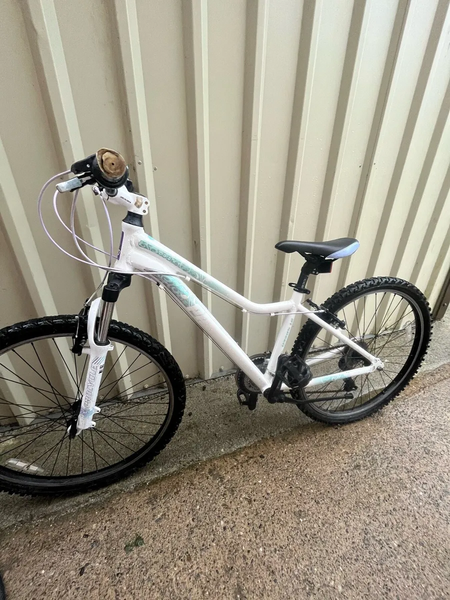 Bike - Image 2