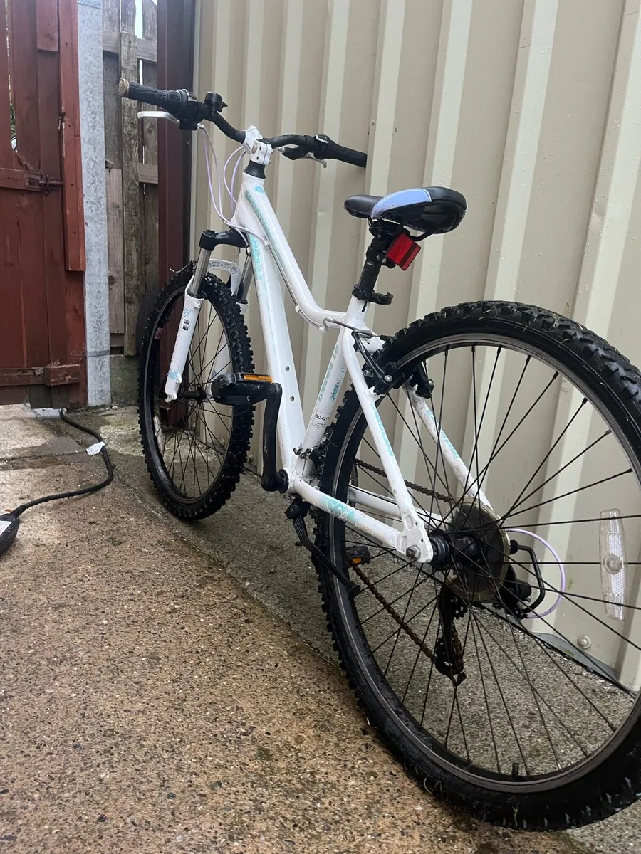 Bike - Image 3