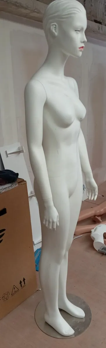 Female and male mannequins - Image 3