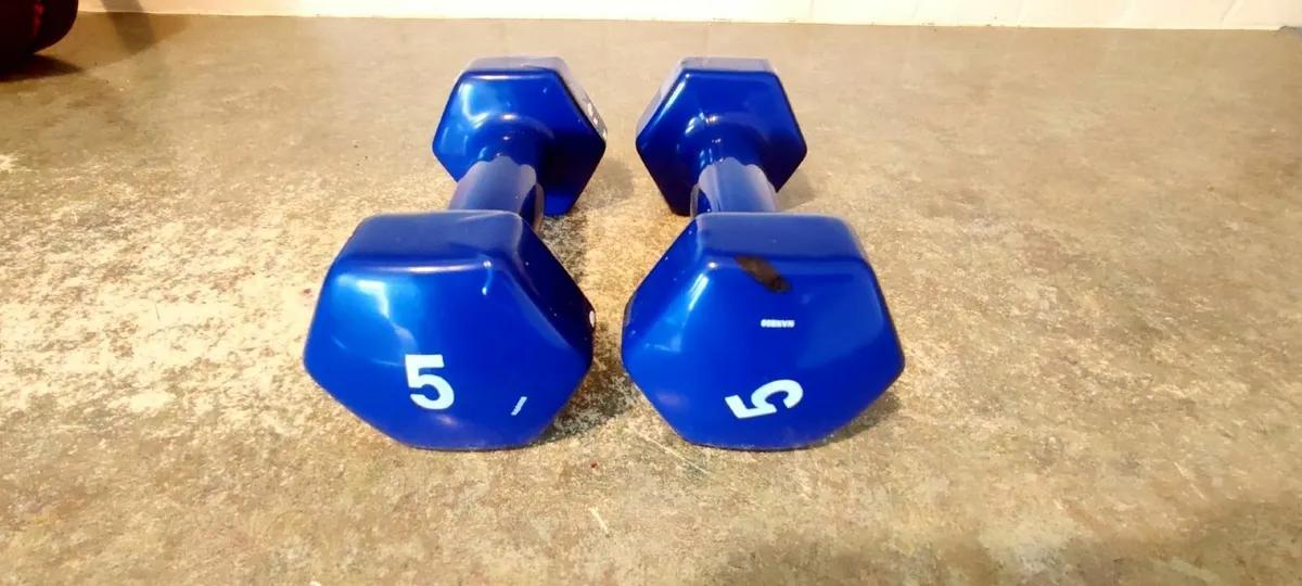 Dumbbell Set, Ab Roller, Skipping Rope - Image 2