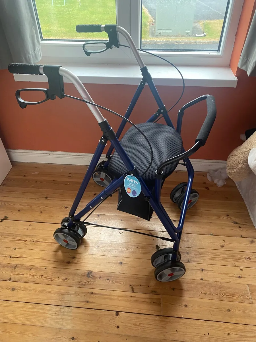 Adult walker - Image 1