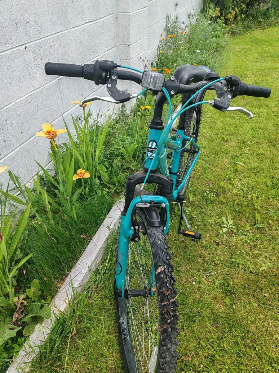 Bike Apollo Entice Adult - Image 2