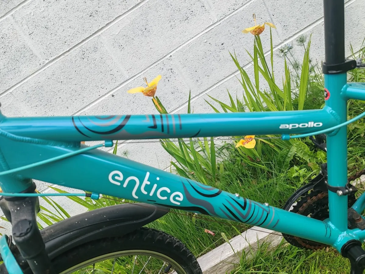 Bike Apollo Entice Adult - Image 3