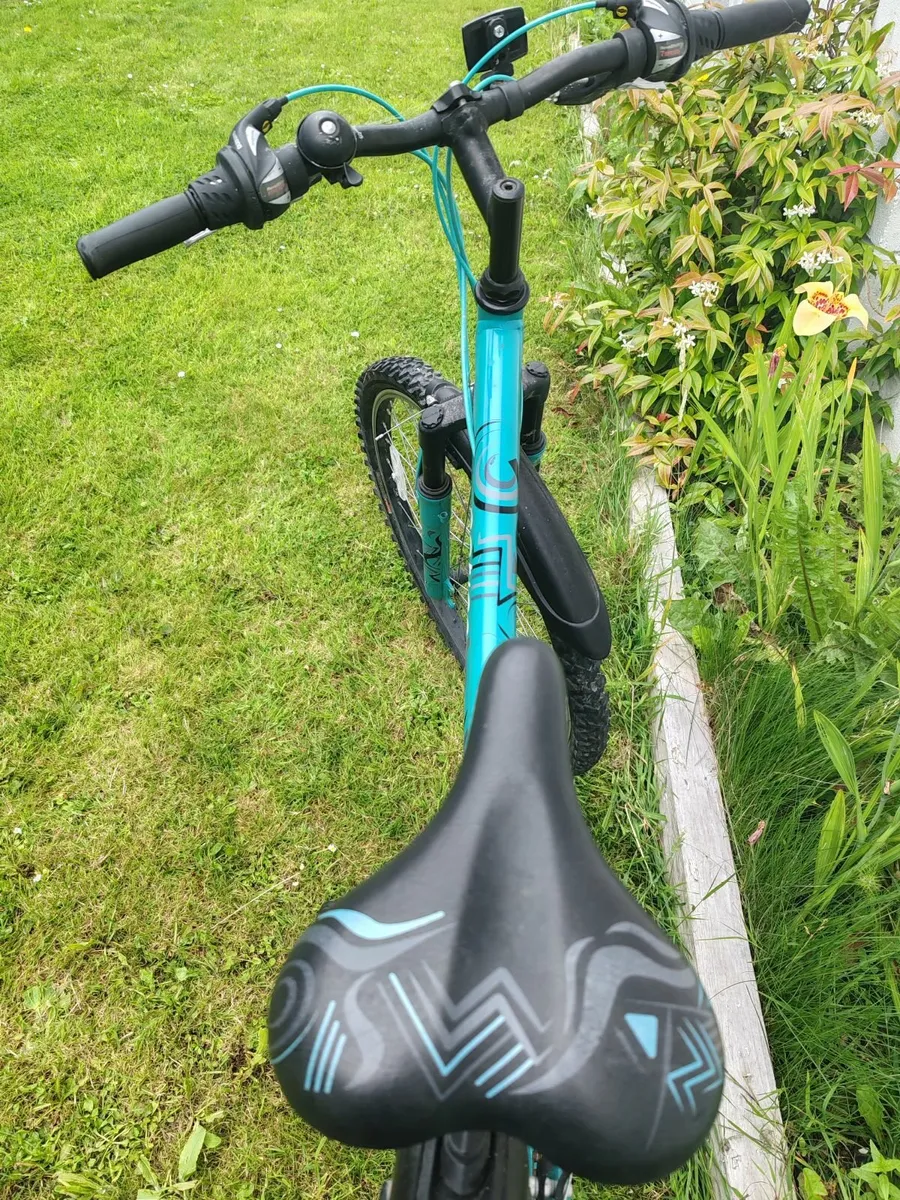 Bike Apollo Entice Adult - Image 4