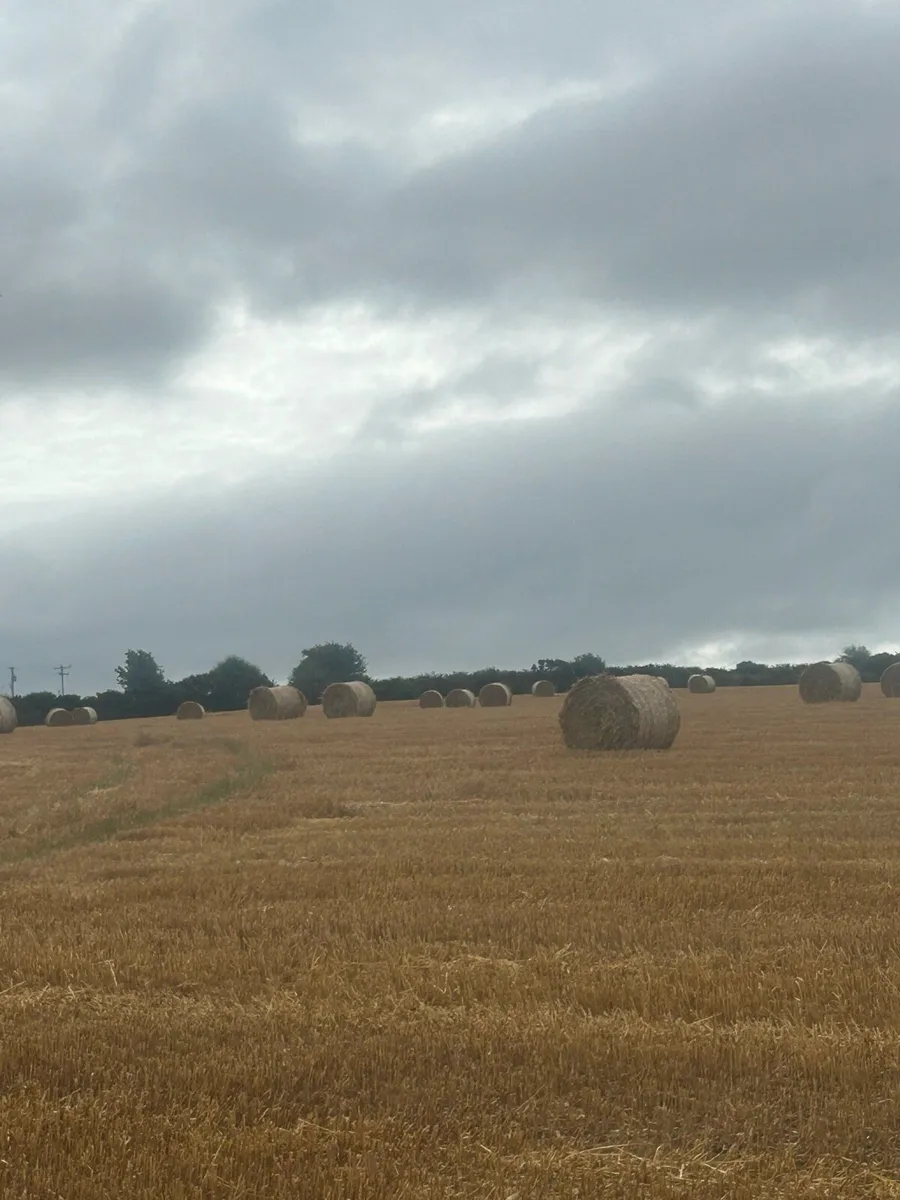 Oating straw - Image 3