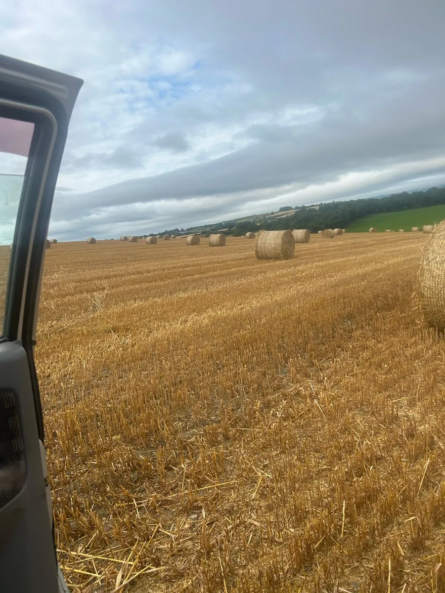 Oating straw - Image 4
