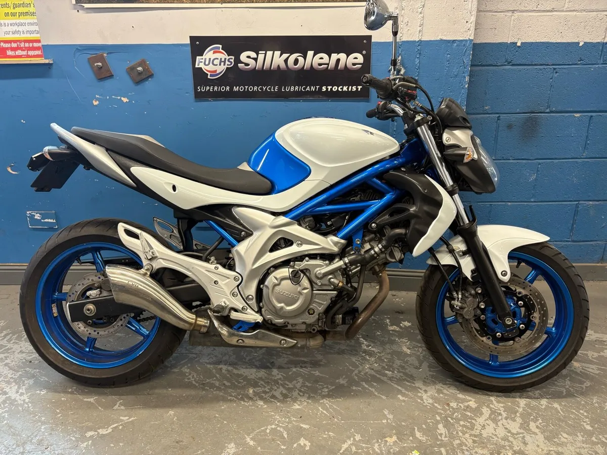 2010 Suzuki Gladius 650. - Image 1