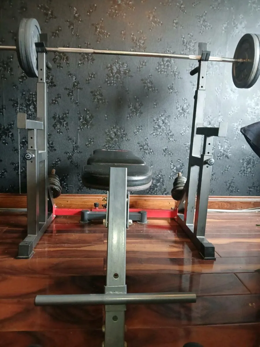 Weights Bench