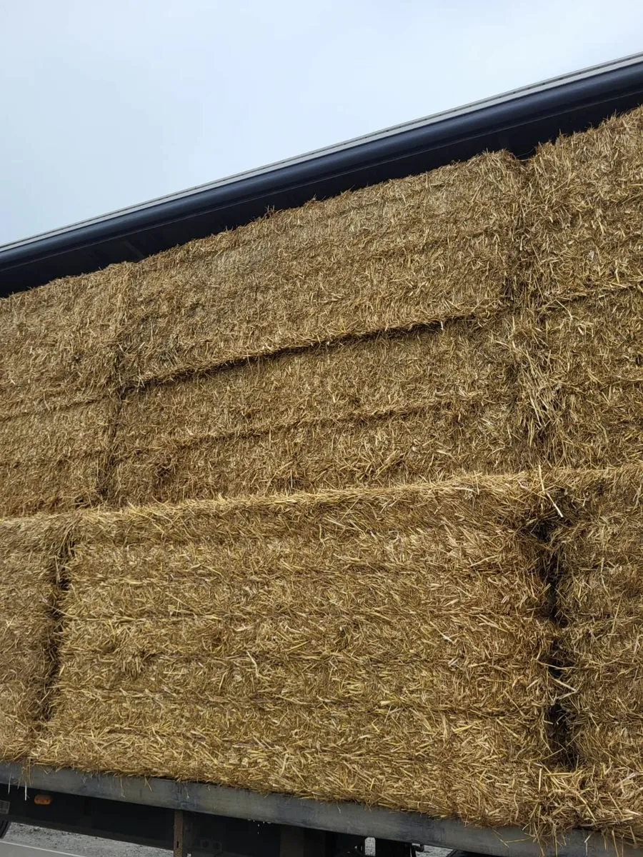English Wheat Straw 8x4x3