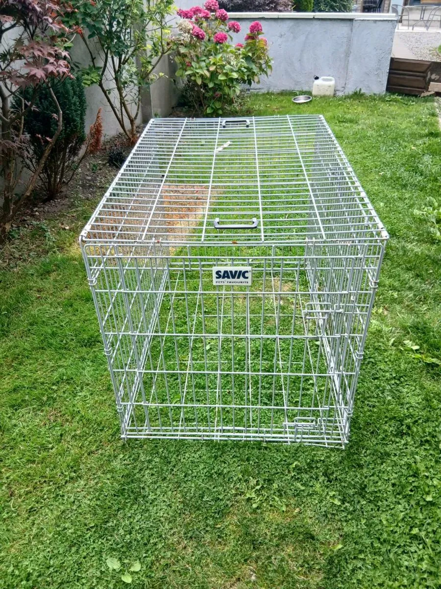 Dog cage - Image 1
