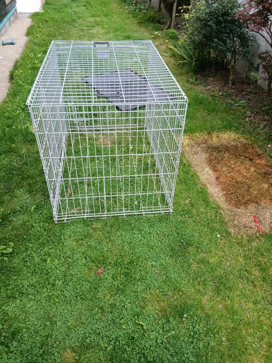 Dog cage - Image 3