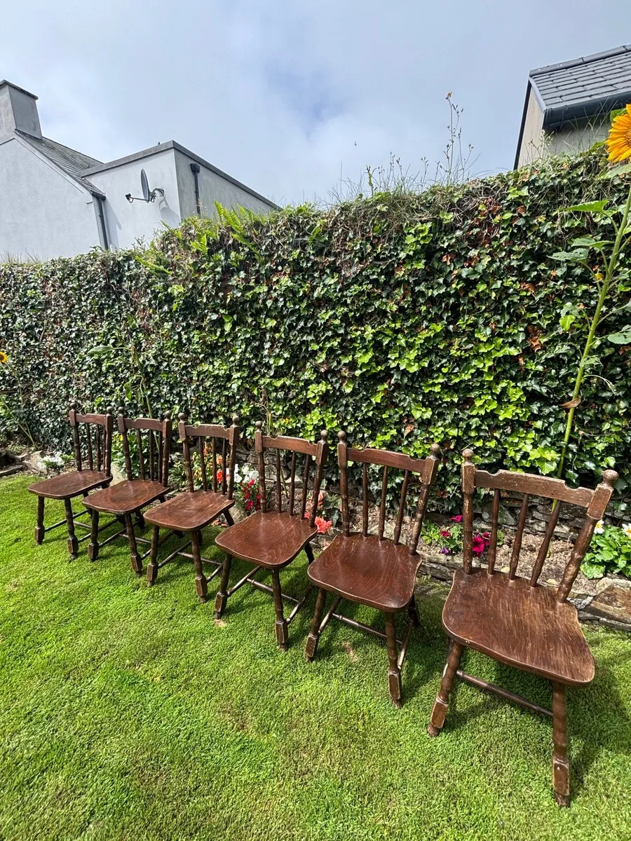 Dining chairs - Image 4