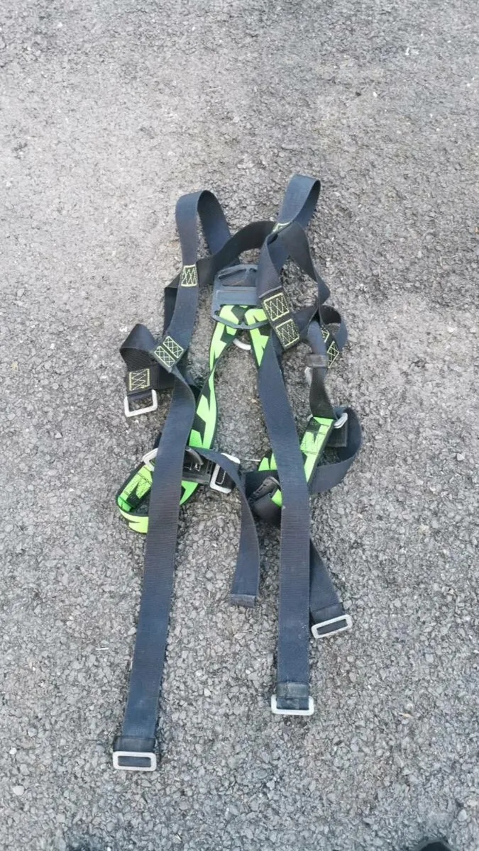 Safety harness - Image 1