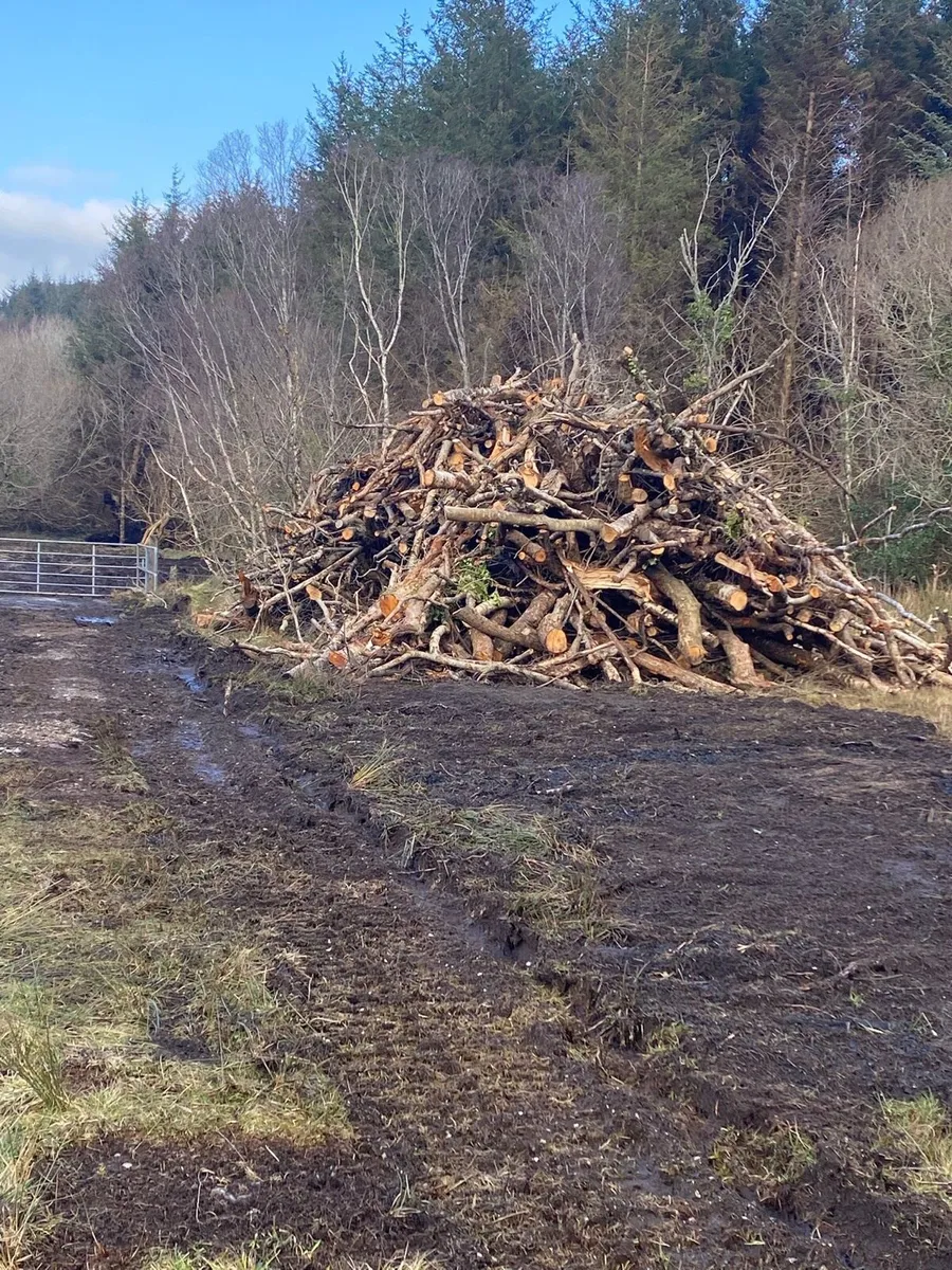 Lengths of timber - Image 1