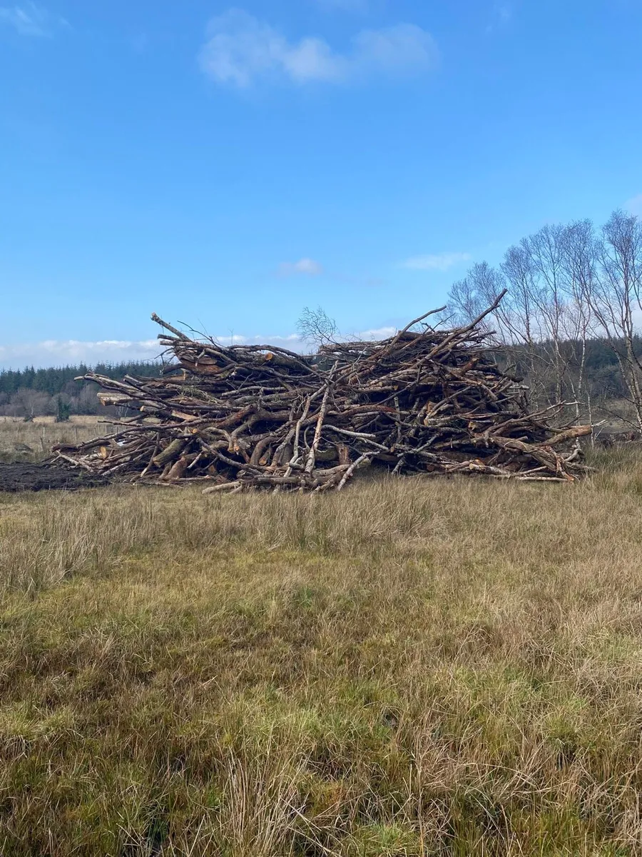 Lengths of timber - Image 2
