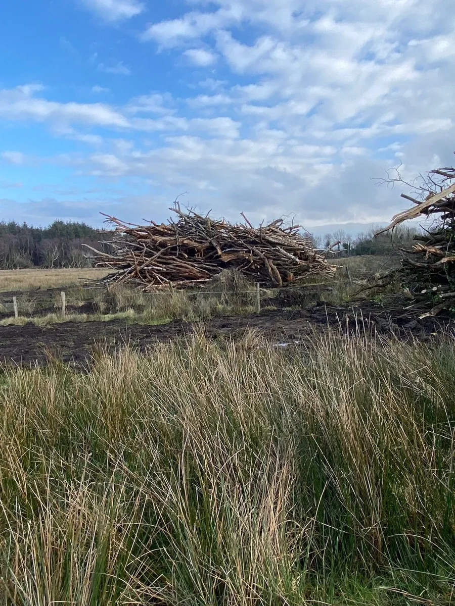 Lengths of timber - Image 3
