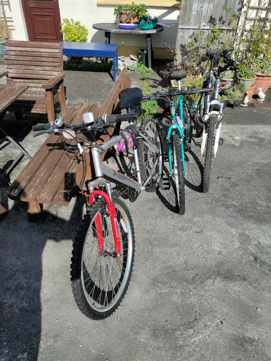 Mountain bikes - Image 1