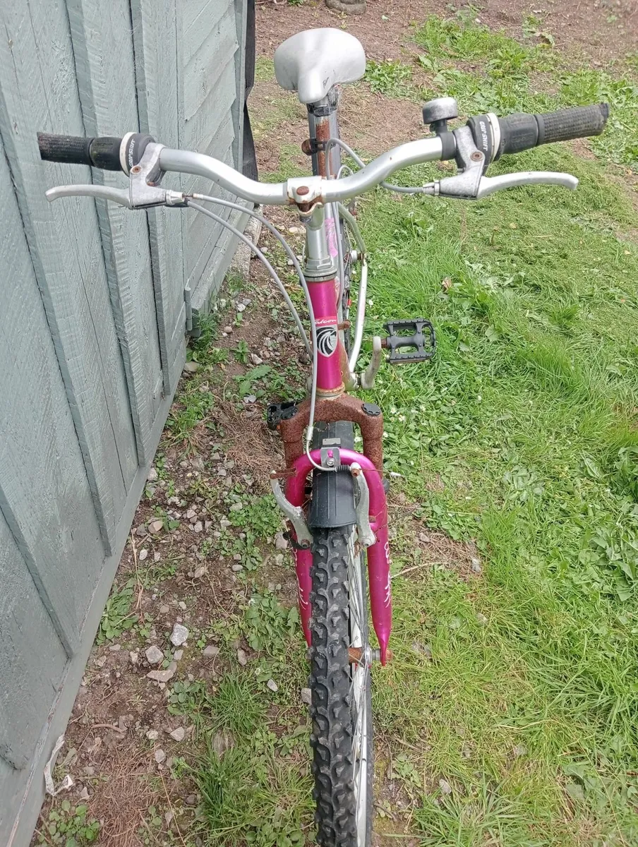 Girl's Bike - Image 2